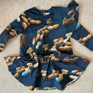 Wolf & Rita skirt and long sleeve top set - size 4t